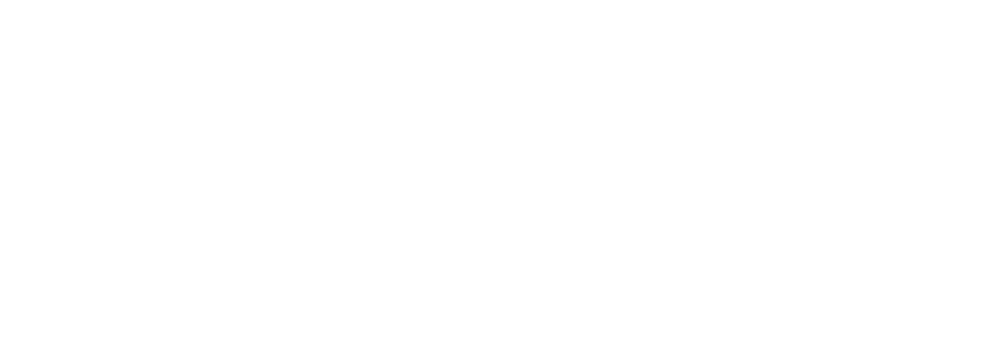 CAPE-logo-blanc (1)